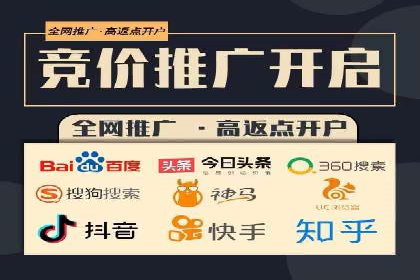 百度竞价排名机制：成功案例与策略探讨